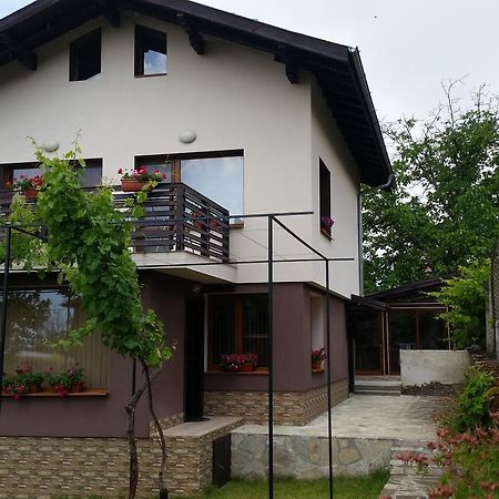 Kavdanski Guesthouse 萨帕雷瓦巴尼亚 外观 照片
