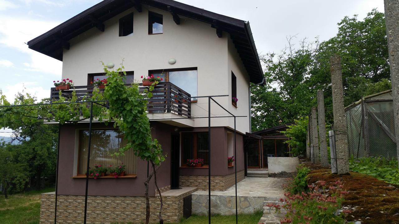 Kavdanski Guesthouse 萨帕雷瓦巴尼亚 外观 照片