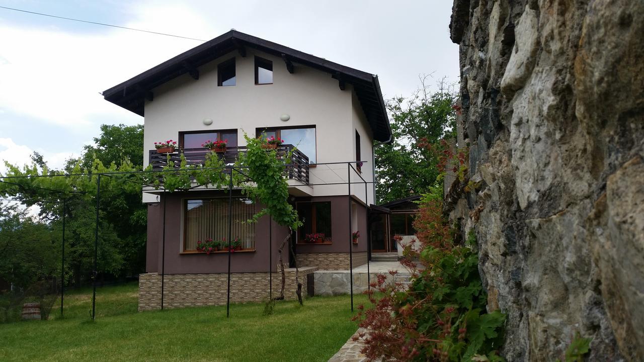 Kavdanski Guesthouse 萨帕雷瓦巴尼亚 外观 照片