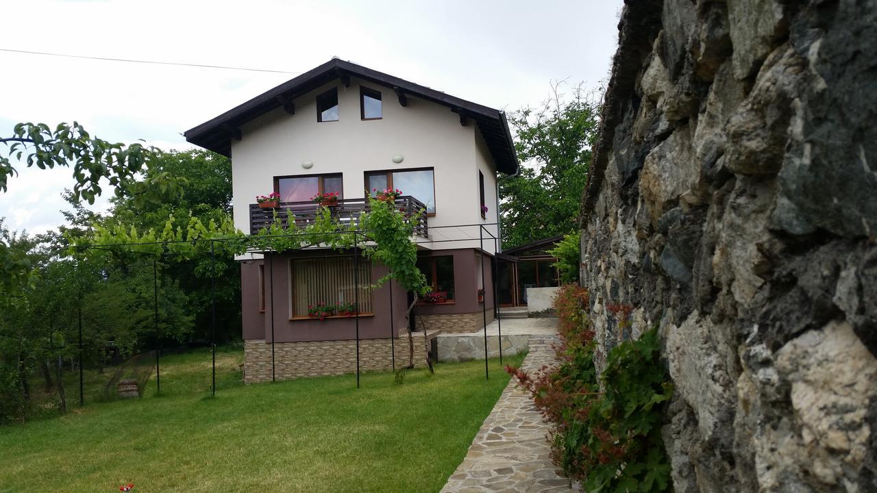Kavdanski Guesthouse 萨帕雷瓦巴尼亚 外观 照片