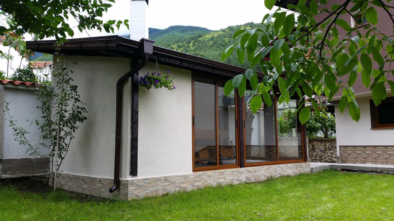 Kavdanski Guesthouse 萨帕雷瓦巴尼亚 外观 照片